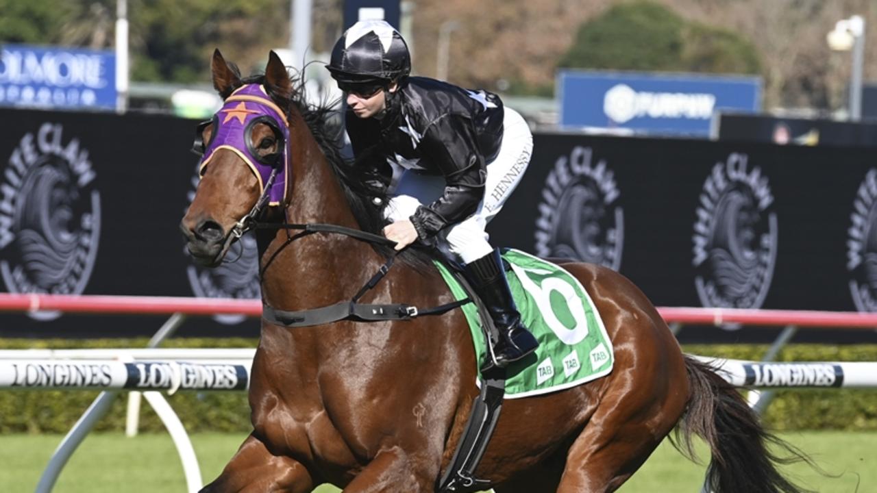 Blessed Award can give former jockey Michael Travers his first Cootamundra Cup win as a trainer on Sunday. Picture: Bradley Photos