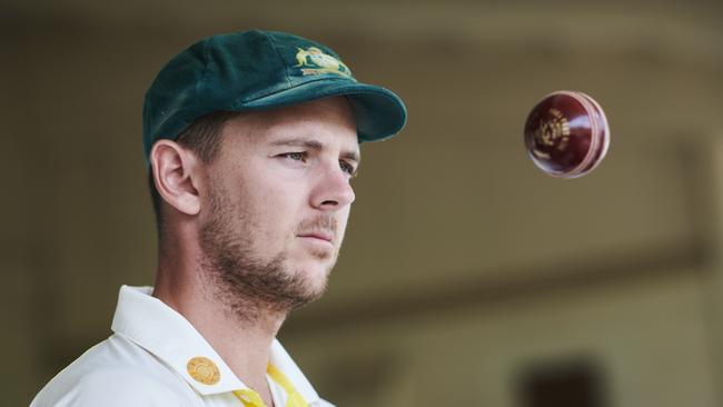 Josh Hazlewood was rested from the World Cup to have him fit and firing in time for the Ashes.