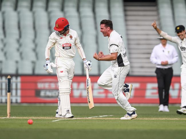 Jhye Richardson of Western Australia celebrates the wicket of Daniel Drew of South Australia before dislocating his shoulder at the Adelaide Oval. Picture: Mark Brake/Getty Images.