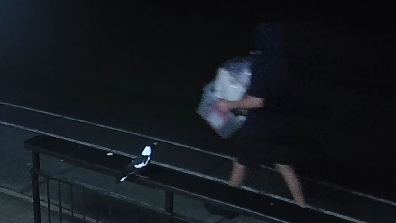 CCTV showed a person taking items from the Mudgeeraba soccer club at about 9pm on February 12. . Picture: Mudgeeraba Soccer club