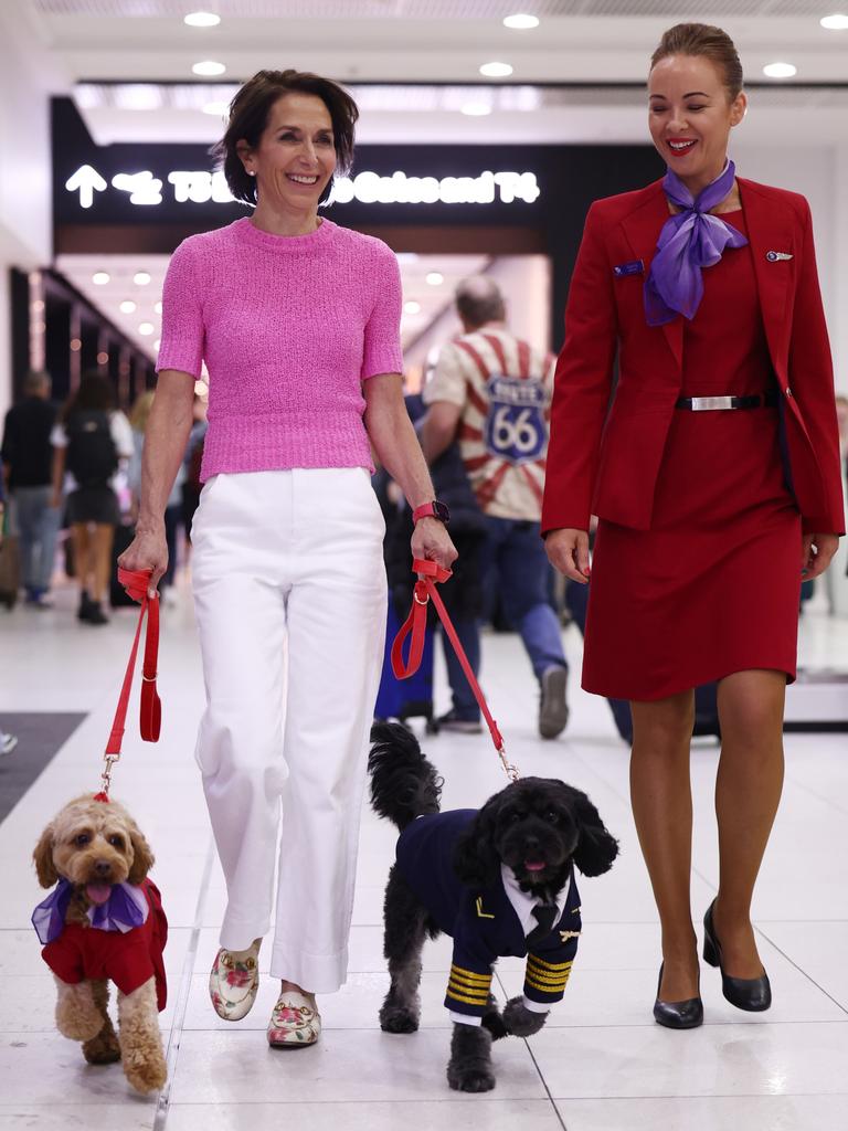 Virgin Australia Group CEO Jayne Hrdlicka announced plans to be the first Australian airline to offer pets aboard flights. Picture: Alex Coppel