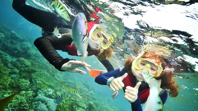 Tourists take a dive in the pristine waters or Moore Reef off Cairns, which would be listed as being in danger if UNESCO has its way. Picture: Nicolas Labat/Calypso Productions