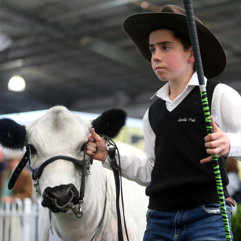 Jack Ellis, 13, Hanging Rock Speckle Park at the Royal Melbourne Show. Picture: Yuri Kouzmin