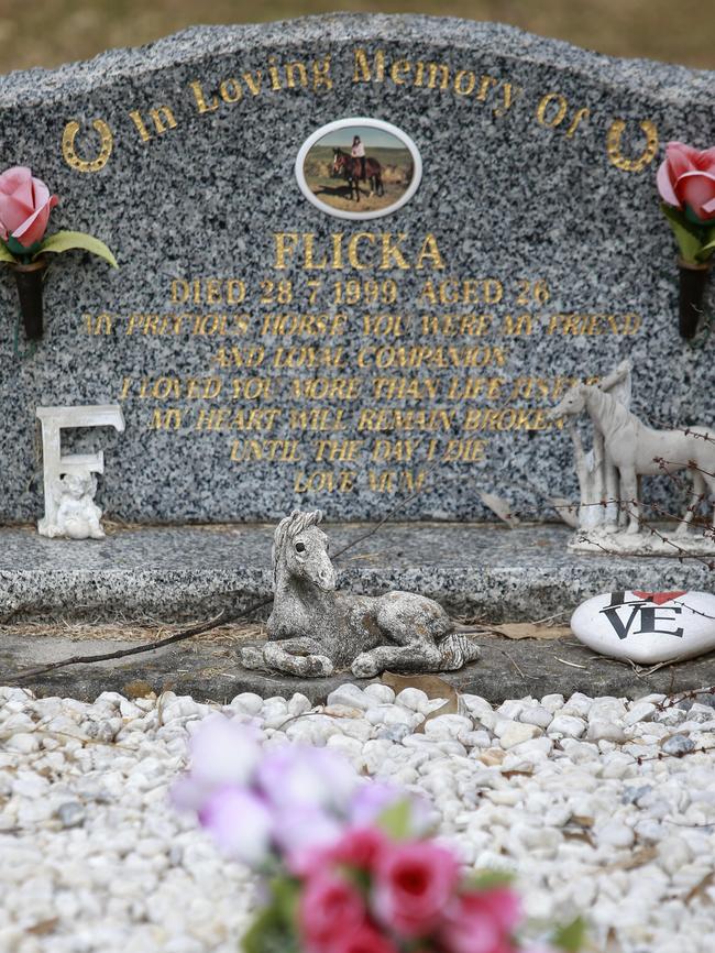 The grave of Flicka, the horse who lived more than 40 years. Picture: Justin Lloyd.