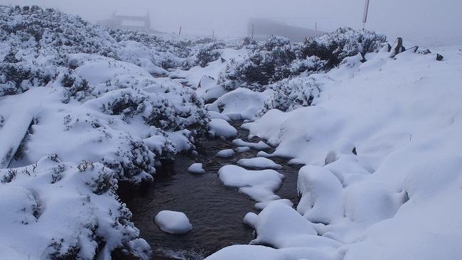 Ben Lomond National Park has reported more than 5cm of snowfall overnight, turning the resort into a winter wonderland. June 18, 2023. Photo: Instagram