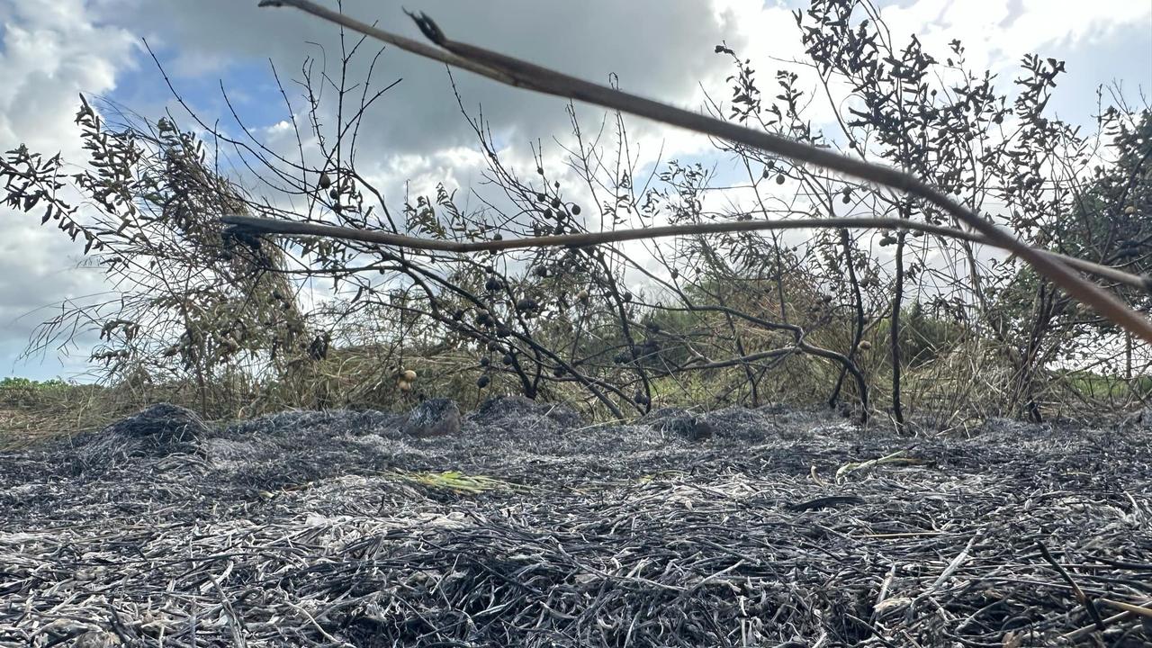 Part of the burnt out area of Windermere Park on Tuesday morning.