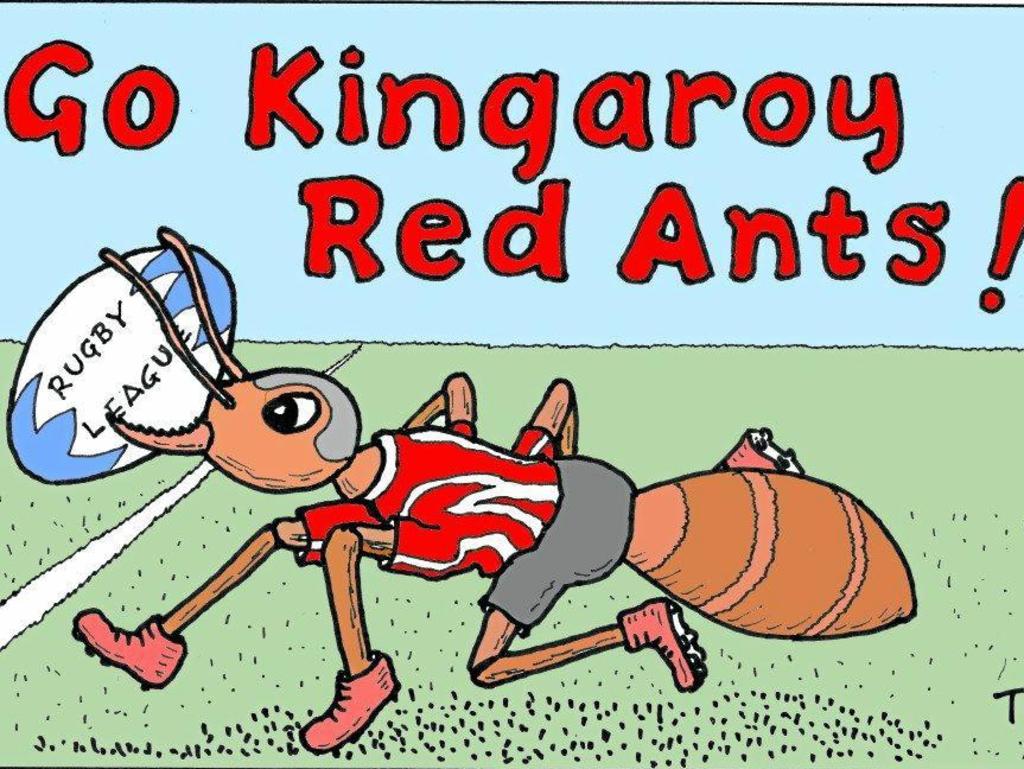Go Kingaroy Red Ants. Photo: Tony Turton