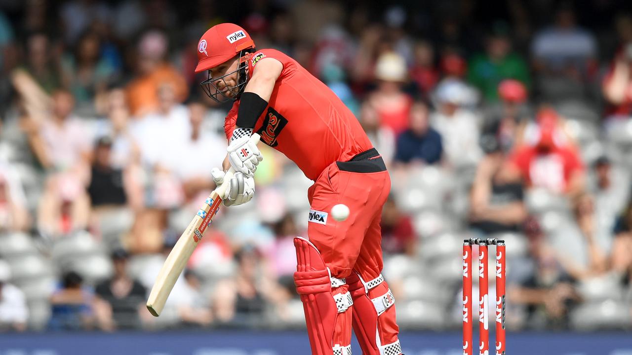 Aaron Finch led the Renegades to the win. Photo: Morgan Hancock/Getty Images.