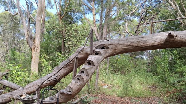 An abandoned campsite gathering at the base of City Hill near where Duncan Campbell's body was located in Coffs Harbour.