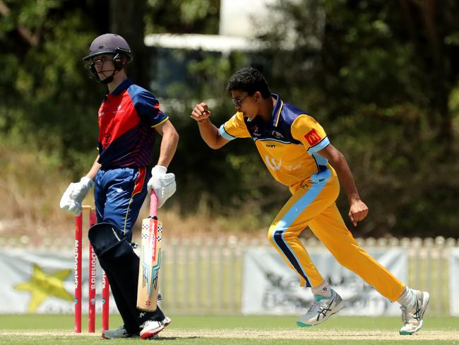 Yash Deshmukh celebrates a Green Shield wicket last season. Photo by Jeremy Ng / Daily Telegraph NewsLocal