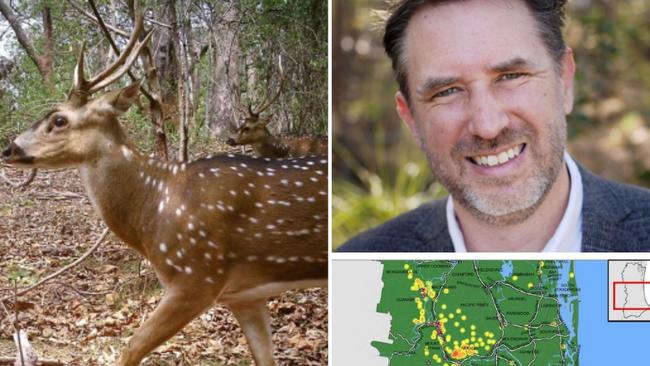 A new report to Councilor Glenn Tozer's (pictured right) Lifestyle Committee reveals hot spots for feral deer on the Gold Coast. Source: Gold Coast City Council.