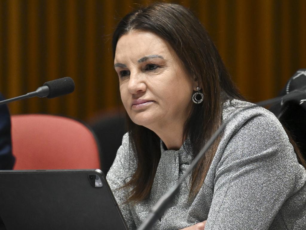 Ms Lambie said the economy is at the forefront of voters minds. Picture: NewsWire / Martin Ollman