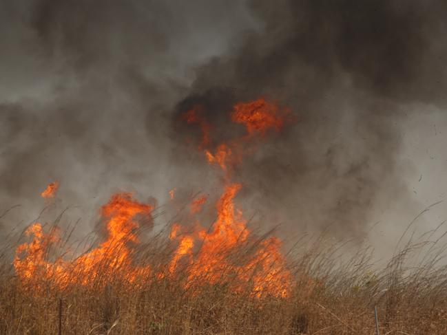 Gamba Grass burns as Dangerous fire conditions continue as a fire rolls through the Litchfield/Batchelor AreaPicture GLENN CAMPBELL