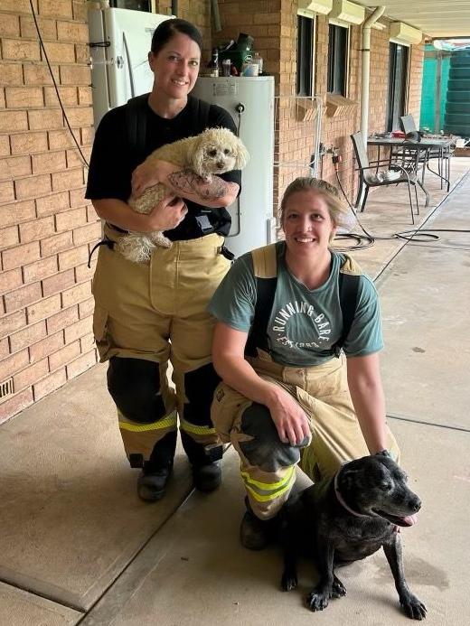 Port Augusta CFS members Lisa Kruger and Kelsey Ellis with rescued dogs Bella and Lacey. Picture: CFS