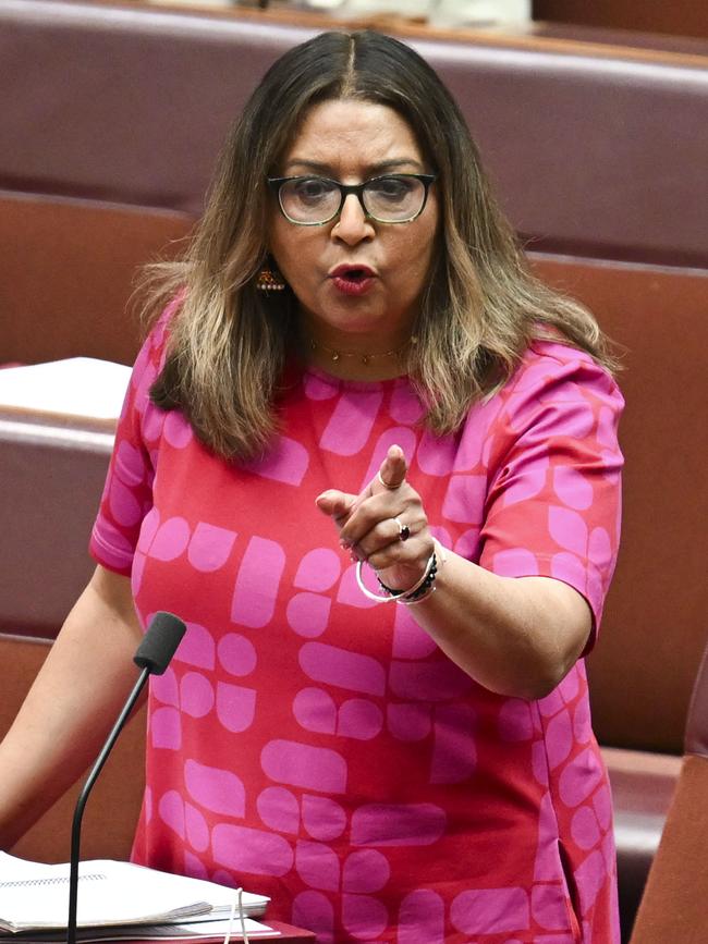 Senator Mehreen Faruqi.