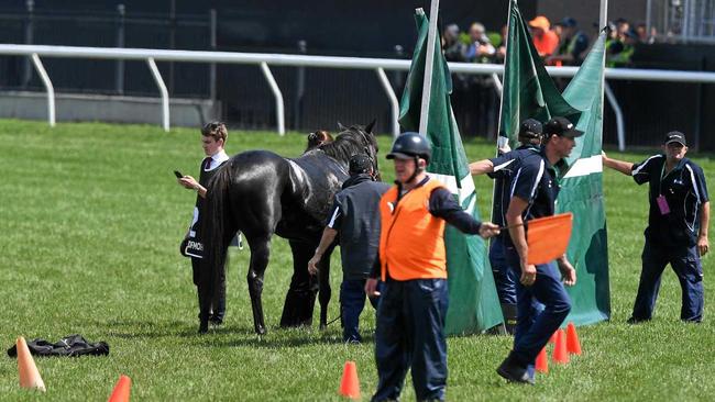 Track staff erect a screen after The CliffsofMoher was injured during the Lexus Melbourne Cup, as part of the Melbourne Cup Carnival, at Flemington Racecourse in Melbourne. Picture: DAN HIMBRECHTS/AAP PHOTOS