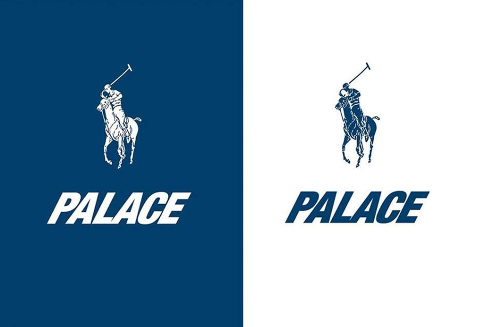 Polo palace collab best sale