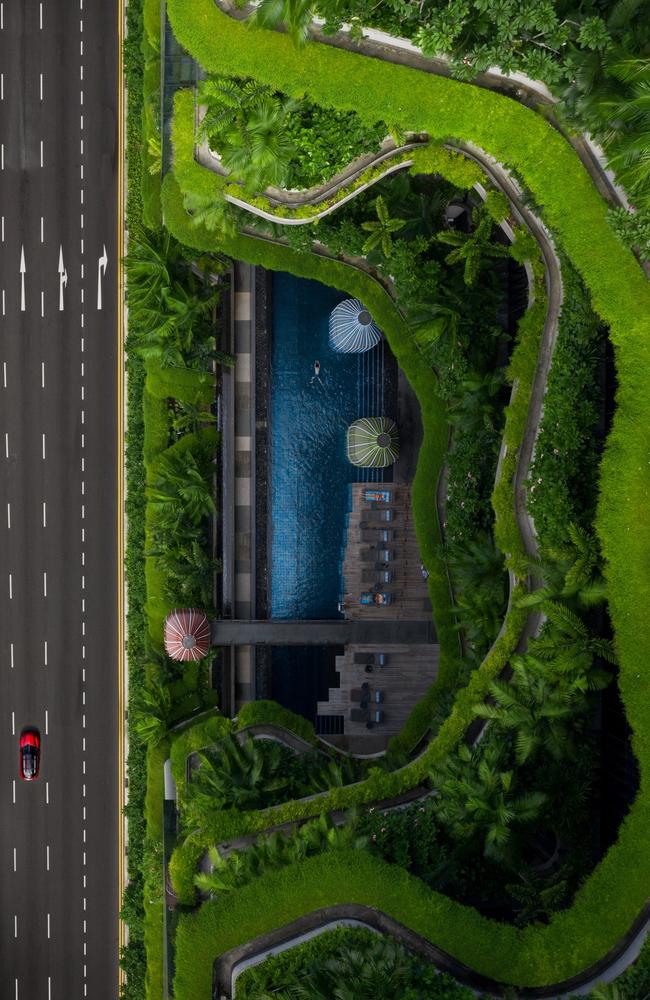 Pictures from #Green2020, Agora’s latest online photo contest. 'Urban Nature' by @leemumford8 (Hong Kong).