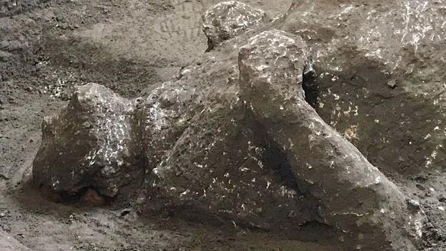 A cast of a Pompeii body. Picture: AFP Photo/Pompeii Archaeological Park/Luigi Spina