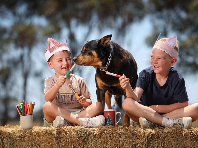 The NGV is doing a regional tour in  summer where key exhibitions are heading for the country. One of the travelling exhibitions is Cats and Dogs. Country kids Oliver 5 and Harvey 7 and Paddy the kelpie helps lick the paint brushes after painting their dog ear bandanas at Cressy.                                                              Picture: David Caird