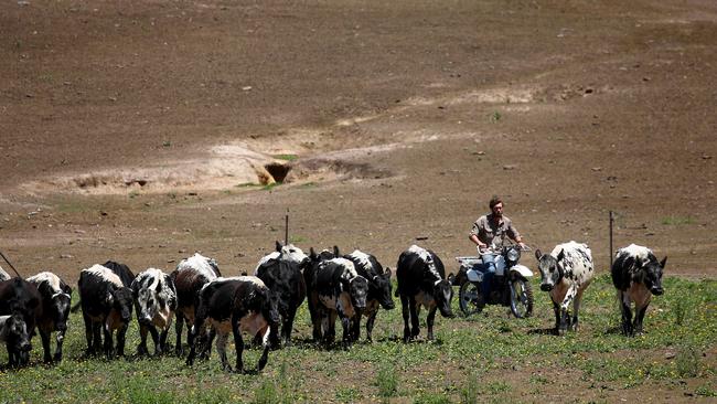 Drought in NSW has prompted farmers to stack less money away in Farm Management Deposits than a year ago.