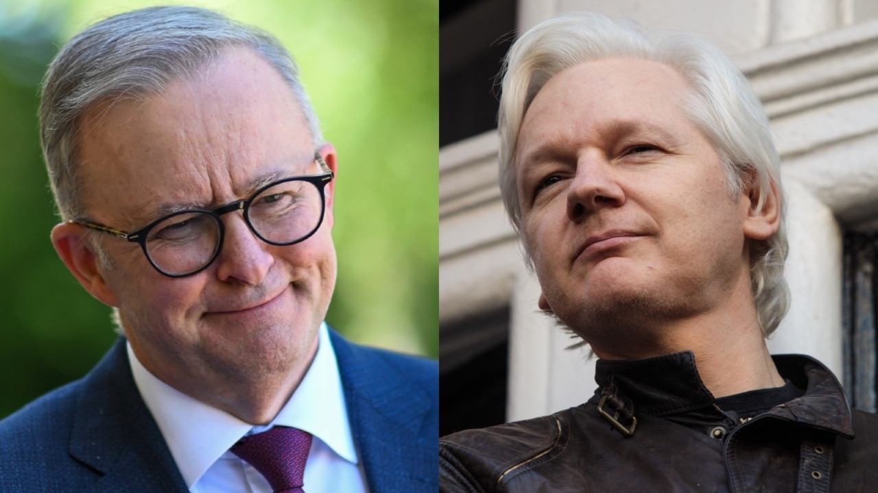 ‘Far out of touch’: Assange the ‘biggest thing’ for Albanese