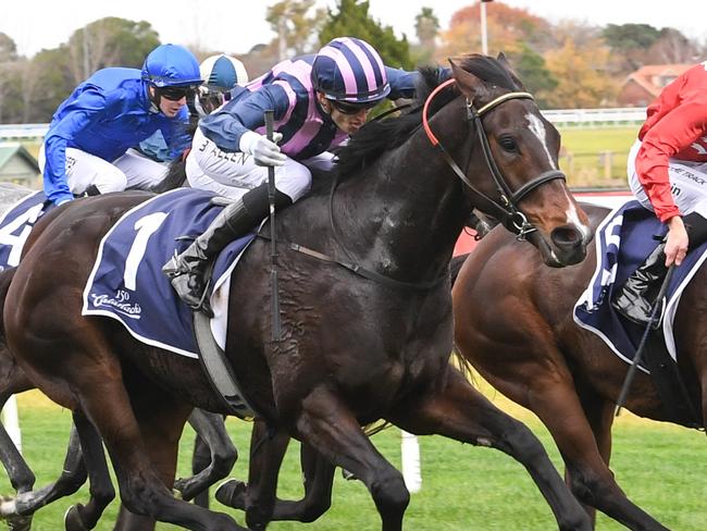 Big Swinger ridden by Ben Allen wins the Catanach's Jewellers Handicap at Caulfield Racecourse on May 31, 2025 in Caulfield, Australia. (Photo by Brett Holburt/Racing Photos via Getty Images)