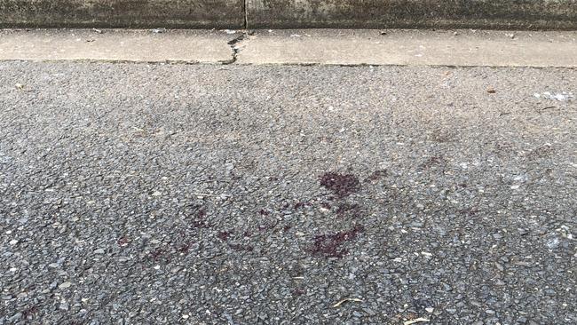 The aftermath of a stabbing in Oaklands Park. Picture: Shashi Baltutis