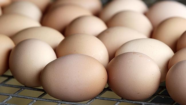 scramble-to-define-free-range-hens-the-weekly-times