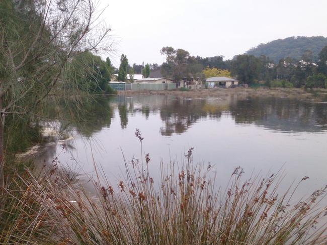 One of the privately-owned wetland properties is being advertised for sale as residential zoning. Photo credit: Supplied