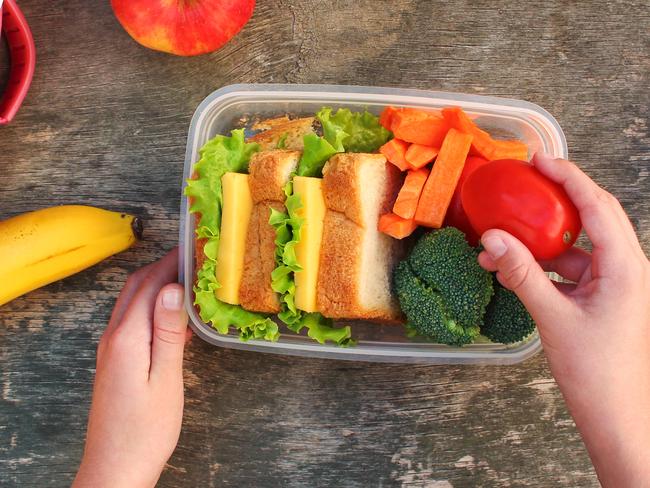 School lunchbox for Northern Family
