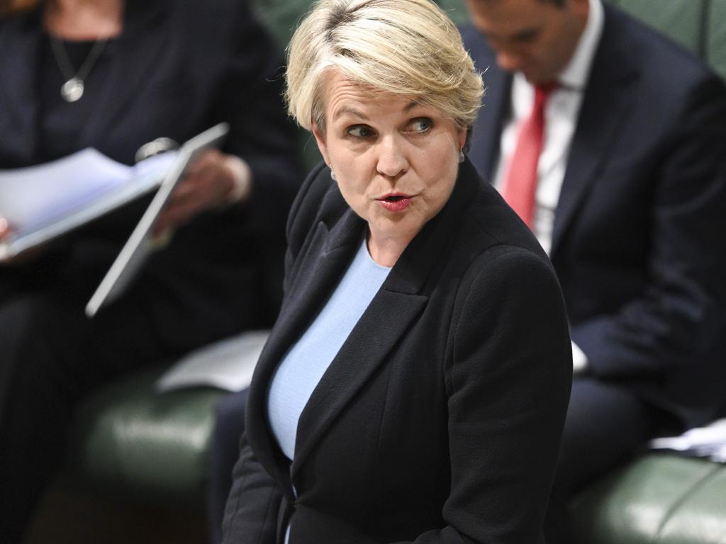 Bowen backs Plibersek in wind row
