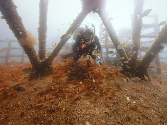 The virtual tour of the Adelaide can be seen at the Central Coast Marine Discovery Centre at Terrigal.