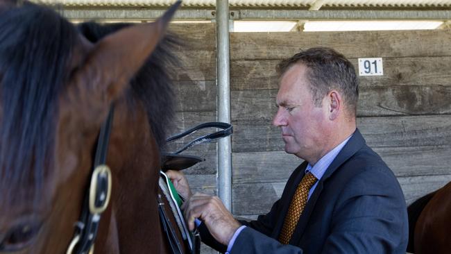 Trainer  Rodney Northam saddles up his horse during Scone  Races located in the Upper Hunter Region of NSW.  Pic Jenny Evans