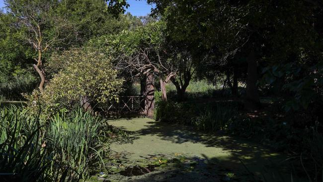 A deadly pond at Footscray Park where a toddler nearly died, months after a three-year-old girl drowned in June.