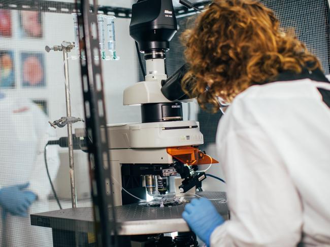 Griffith University researchers Professor Sonya Marshall-Gradisnik and Professor Don Staines, who have made world-first discoveries in the pathology of chronic fatigue syndrome.