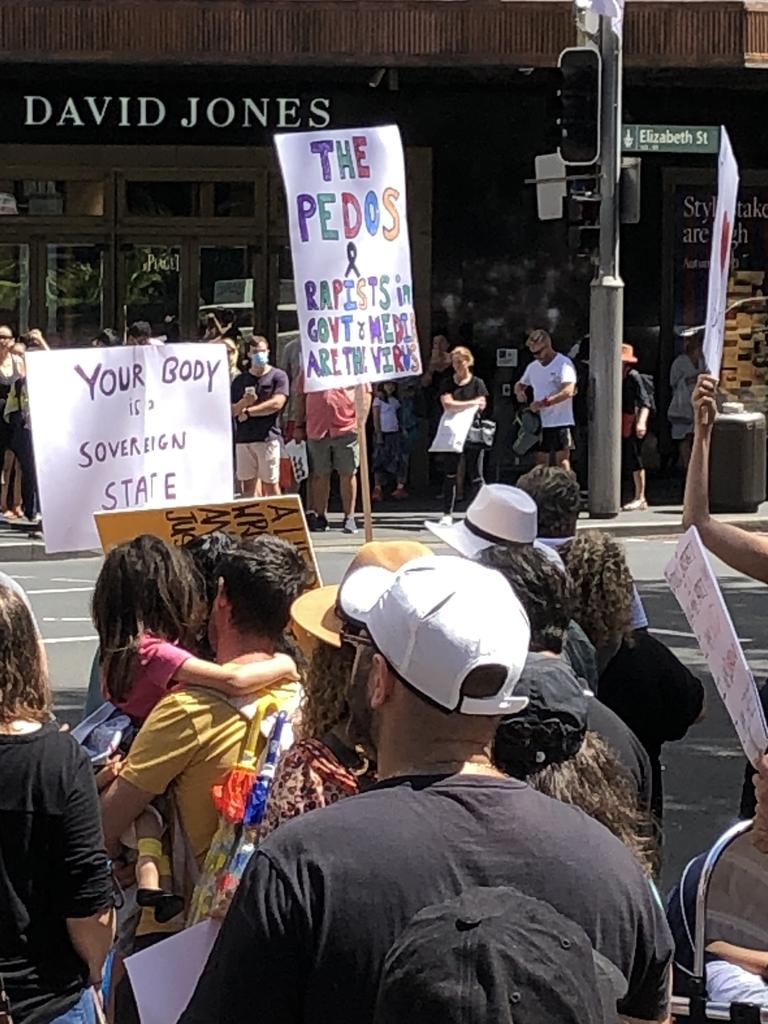 The protesters' displayed varying degrees of rationality. Picture: Phoebe Loomes