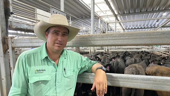 Andrew Holt from Nutrien Roma bought 249 Angus heifers for $2200-$2370 at Wodonga on Thursday.