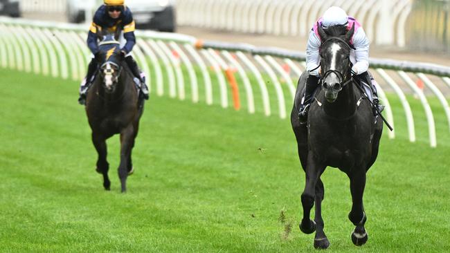 Sghirripa winning the Standish Handicap in dominant fashion at Flemington last year. Picture: Vince Caligiuri/Getty Images