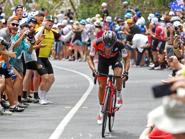 20/01/18 - Fans cheer on the Richie Porte on to victory during the Subaru King of the Mountain: Brookman Road, Willunga Hill.Picture: Tom Huntley