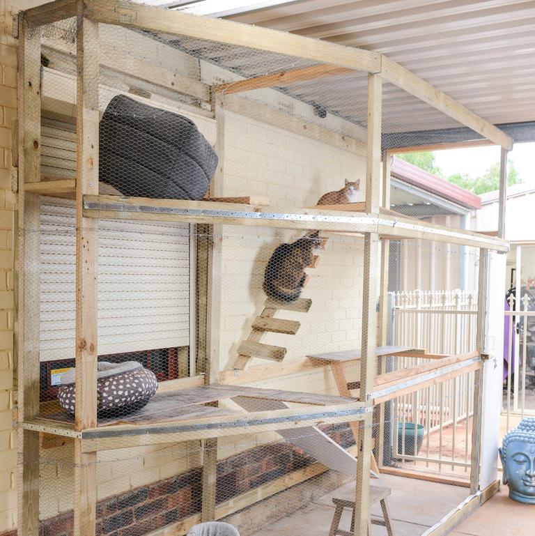 OCTOBER 16, 2021: An impressive cat enclosure at Leandra Jellett’s Salisbury North home. Picture: Brenton Edwards