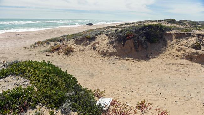 How the area where the two backpackers were camped looked on Thursday. Photo Tom Huntley