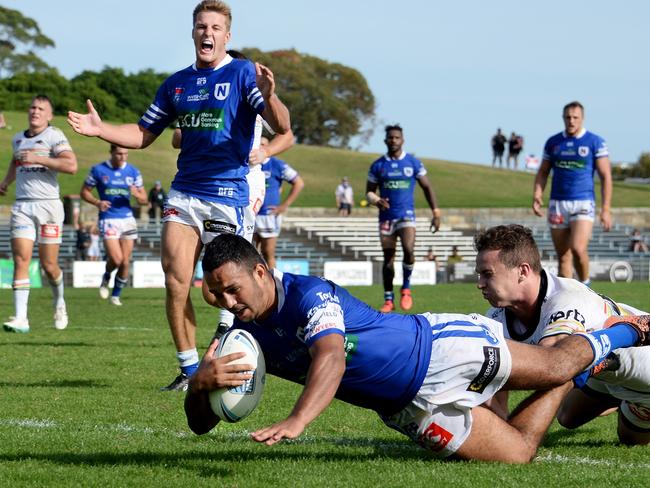 Playing halfback for Cronulla feeder club Newtown. Picture: Michael Magee Photography