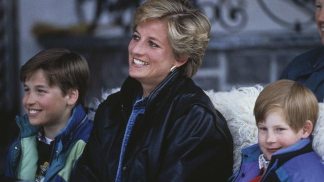 Diana’s brother, Earl Spencer, says it would be extremely distressing for her sons. Picture: Jayne Fincher