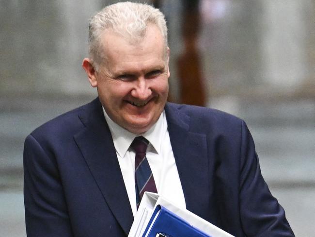 Federal Employment and Workplace Relations Minister and former unionist Tony Burke gave Setka the sort of gentle rebuke you’d reserve for a misbehaving toddler. Martin Ollman