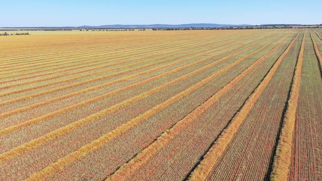 Ballandry Station spans 26,839ha throughout the northern Riverina near Griffith.