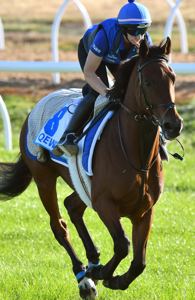 Qewy needs a big performance in Wednesday’s Bendigo Cup if he is going to press on to the Melbourne Cup. Picture: Getty Images