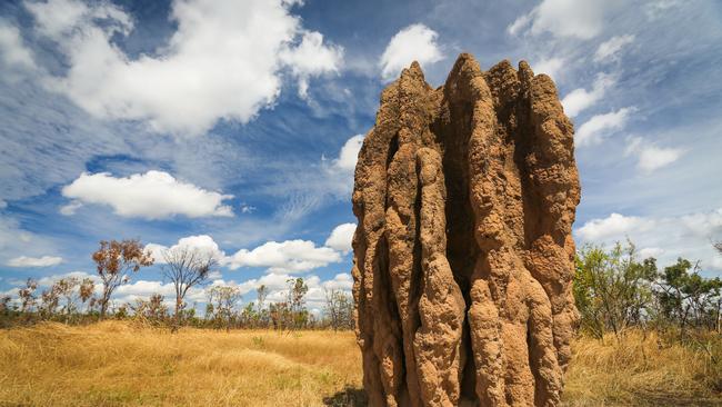 A built-in filtration in termite mounds, like this one in Kakadu National Park, keeps about half of the methane emissions from their farts from the wider atmosphere. Picture: iStock