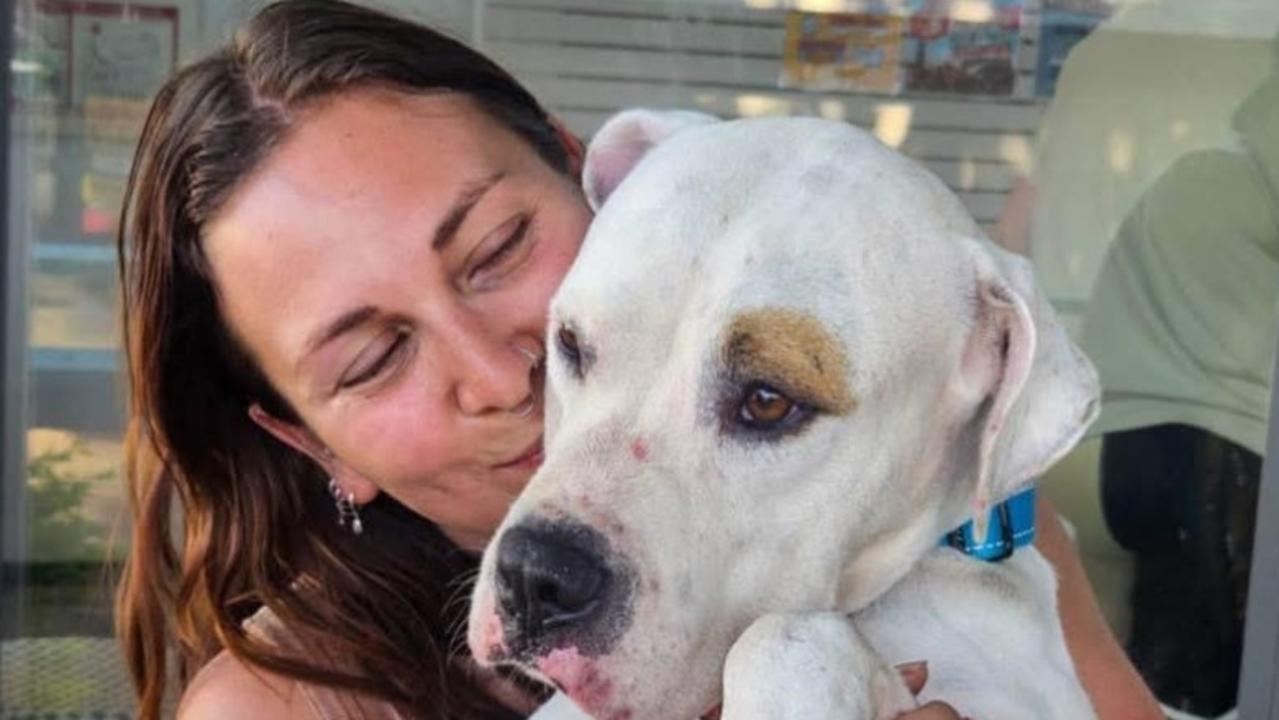 ‘We just do not have the funds’: Pet rescue on brink of shutdown