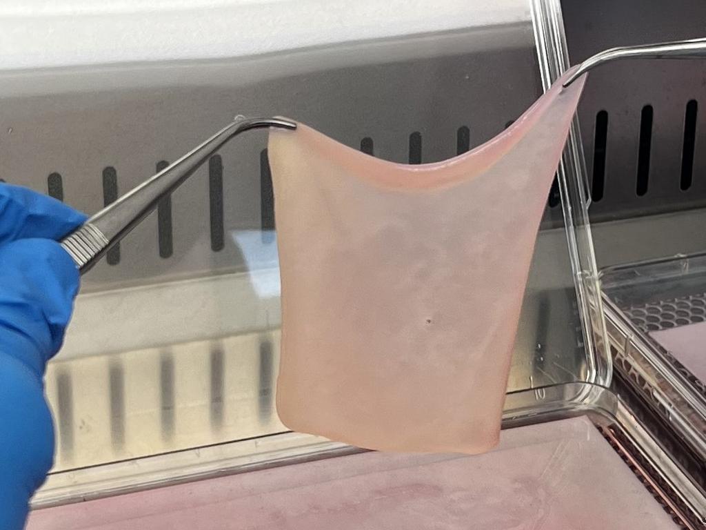 The artifical tissue mimics the top crucial layers of skin and comes after years of work at The Alfred and Monash University. Picture: supplied